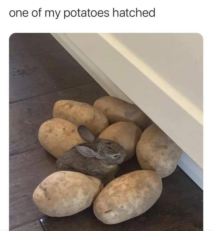 i like food (@messedupfoods) on Twitter photo 