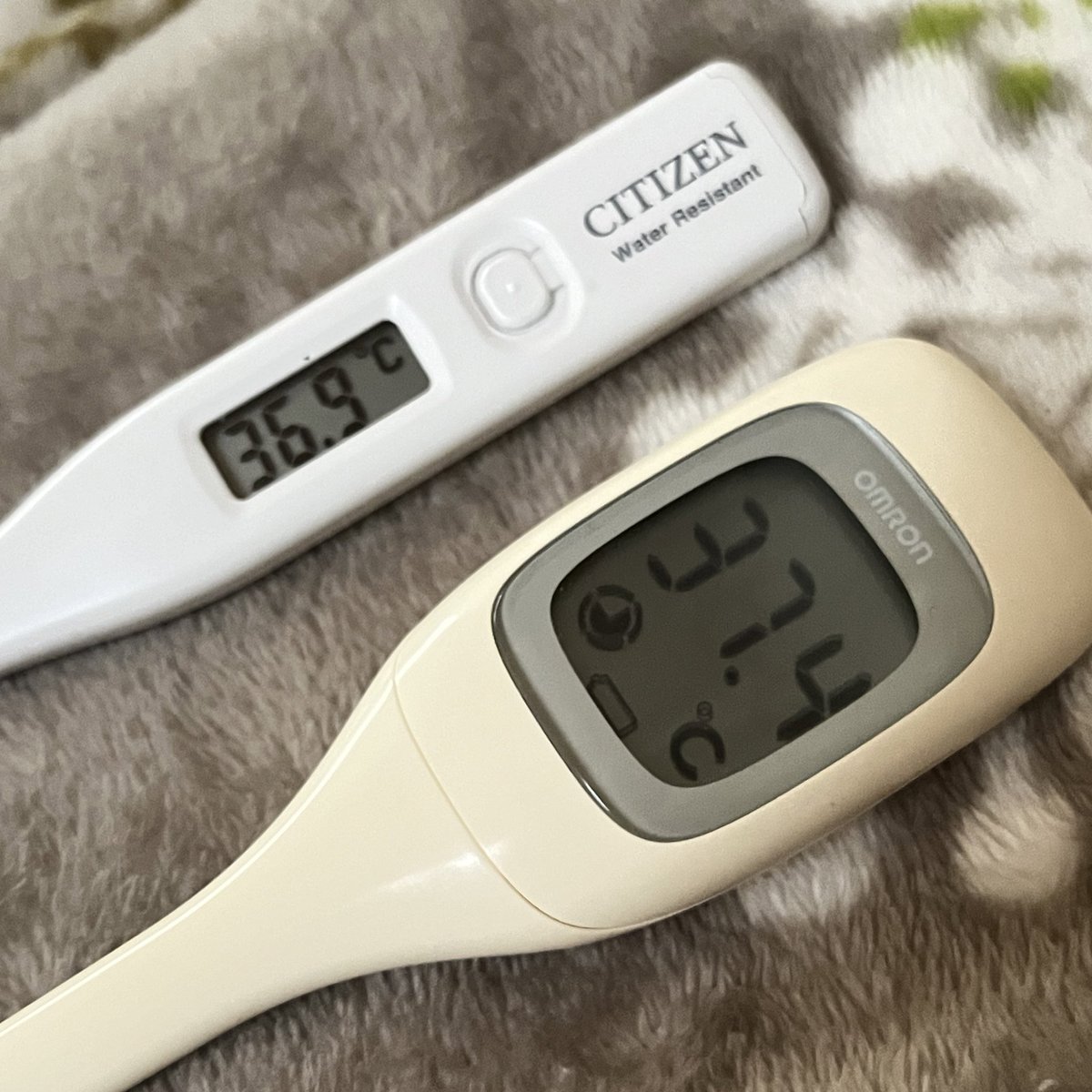 昨晩調子悪くて10時くらいには寝たのだけど、起きたら寒気がして熱が