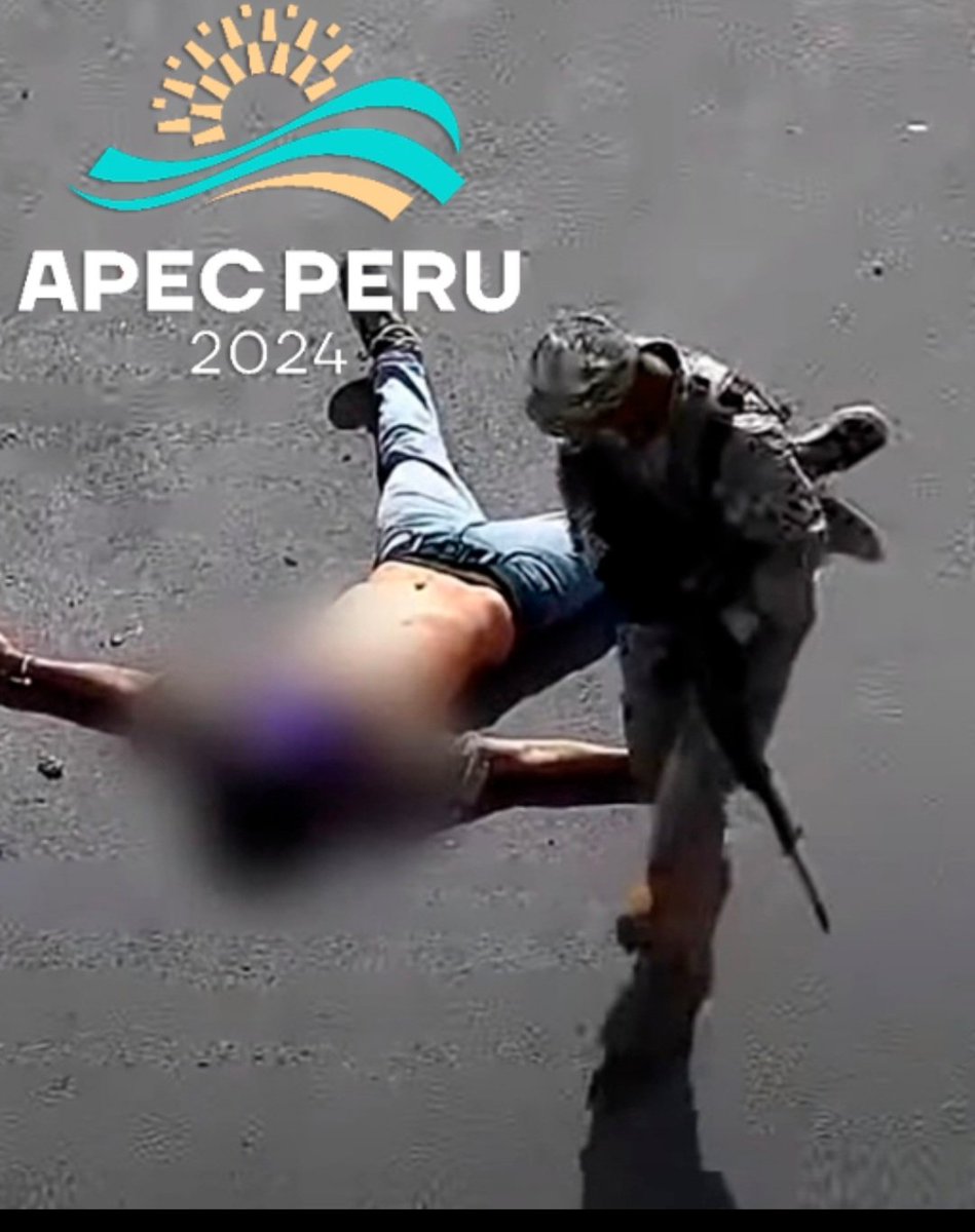 Meli Rod. tweet media