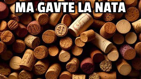 #MaGavteLaNata #FoucaultsPendulum