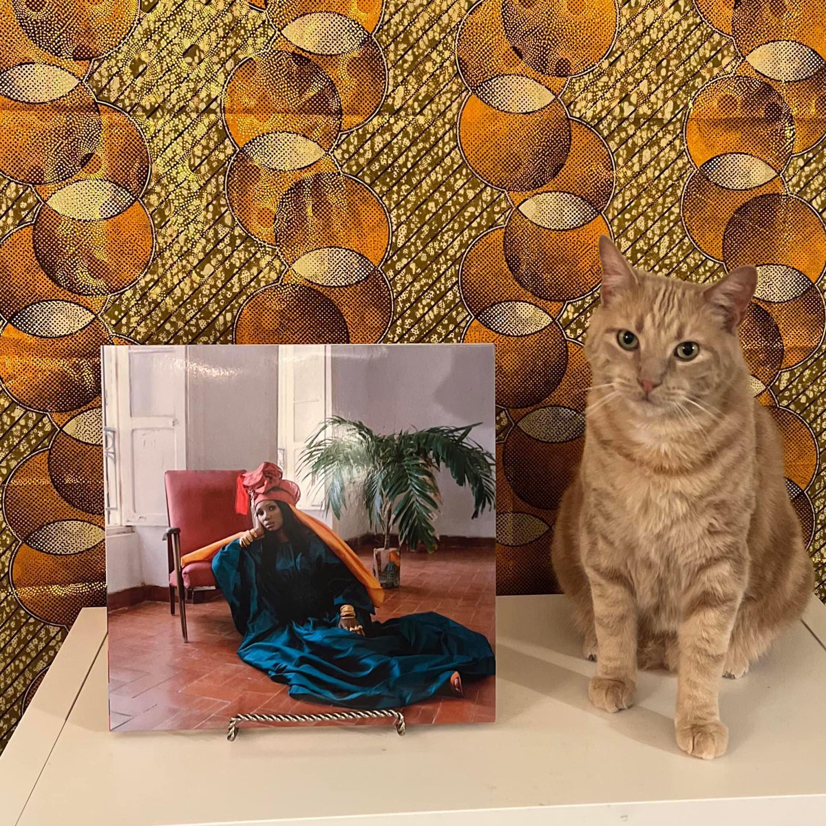 Cincyvinylcats (@jsmallseattle) on Twitter photo MONDAY SPINS
BAMANAN (2022)
Here is Tommy with a collaborative album by Malian singer Rokia Koné and producer Jacknife Lee, released February 18, 2022
The album was Koné's solo debut. It was produced by Lee based on a half-finished album Koné made in Bamako.
<a href="/RokiaKoneMusic/">Rokia Koné</a> MONDAY SPINS
BAMANAN (2022)
Here is Tommy with a collaborative album by Malian singer Rokia Koné and producer Jacknife Lee, released February 18, 2022
The album was Koné's solo debut. It was produced by Lee based on a half-finished album Koné made in Bamako.
<a href="/RokiaKoneMusic/">Rokia Koné</a>