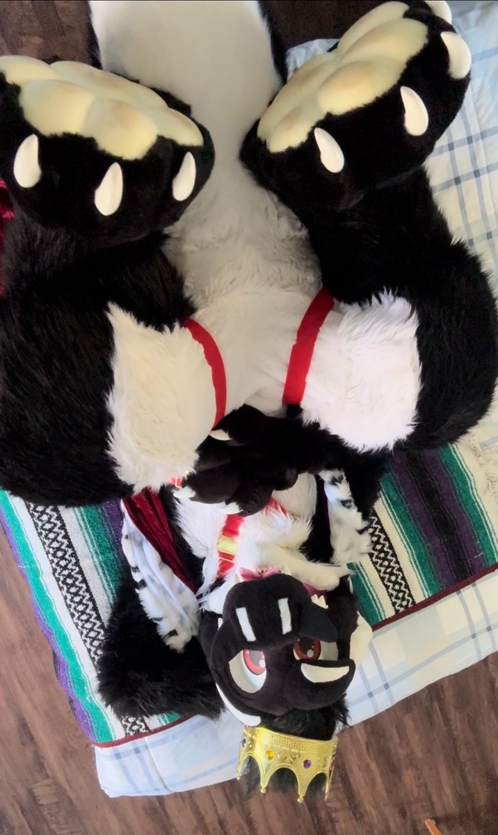 Uhhh I'm not even sure why i'm upside down as well. 

HELP!🙃
#Furry #Fursuit #Morefurlessmonday

Suit made by <a href="/MoreFurLess/">More Fur Less</a>