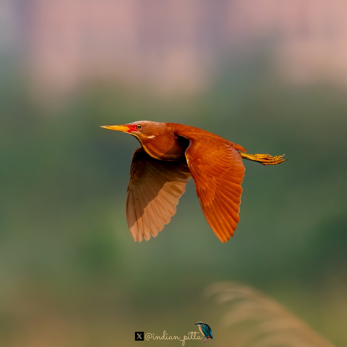 Mohit Mehta tweet media