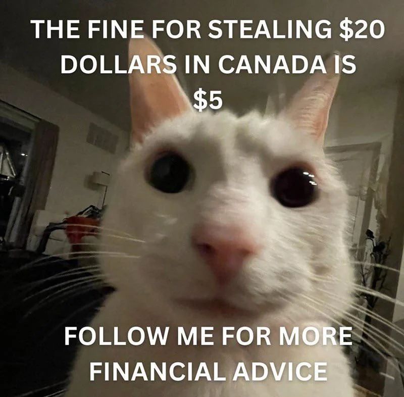 WholesomeMemes (@wholesomememe) on Twitter photo 