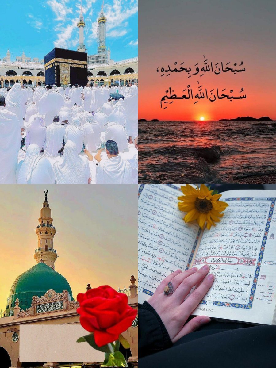 Iam_RidaFatima's tweet photo. السلام علیکم ❣️ 
صبح بخیر زندگی 🌻 https://t.co/GWdFbLyzOy