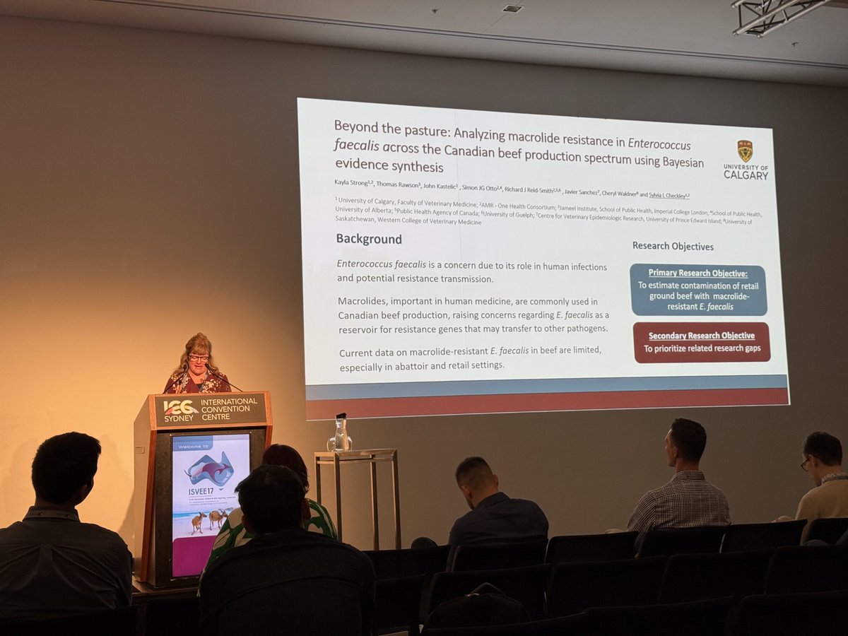 drwaseemshaukat's tweet photo. Dr. Sylvia Checkley ⁦@albertasilver⁩ from the ⁦@UCalgary⁩ ⁦@ucalgaryvetmed⁩ shed a light into macrolides resistance Enterococcus faecalis across the Canadian beef industry using Bayesian evidence synthesis. #isvee #isvee2024 https://t.co/okpeqXgP1T