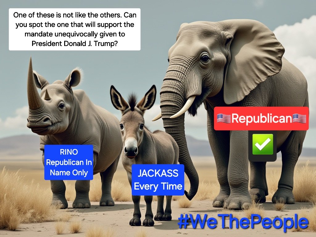 JeremyPGrey's tweet image. Let us be perfectly clear... 

The way you manage your political capital will determine your outcome.
#WeThePeople 
#SpendItWisely