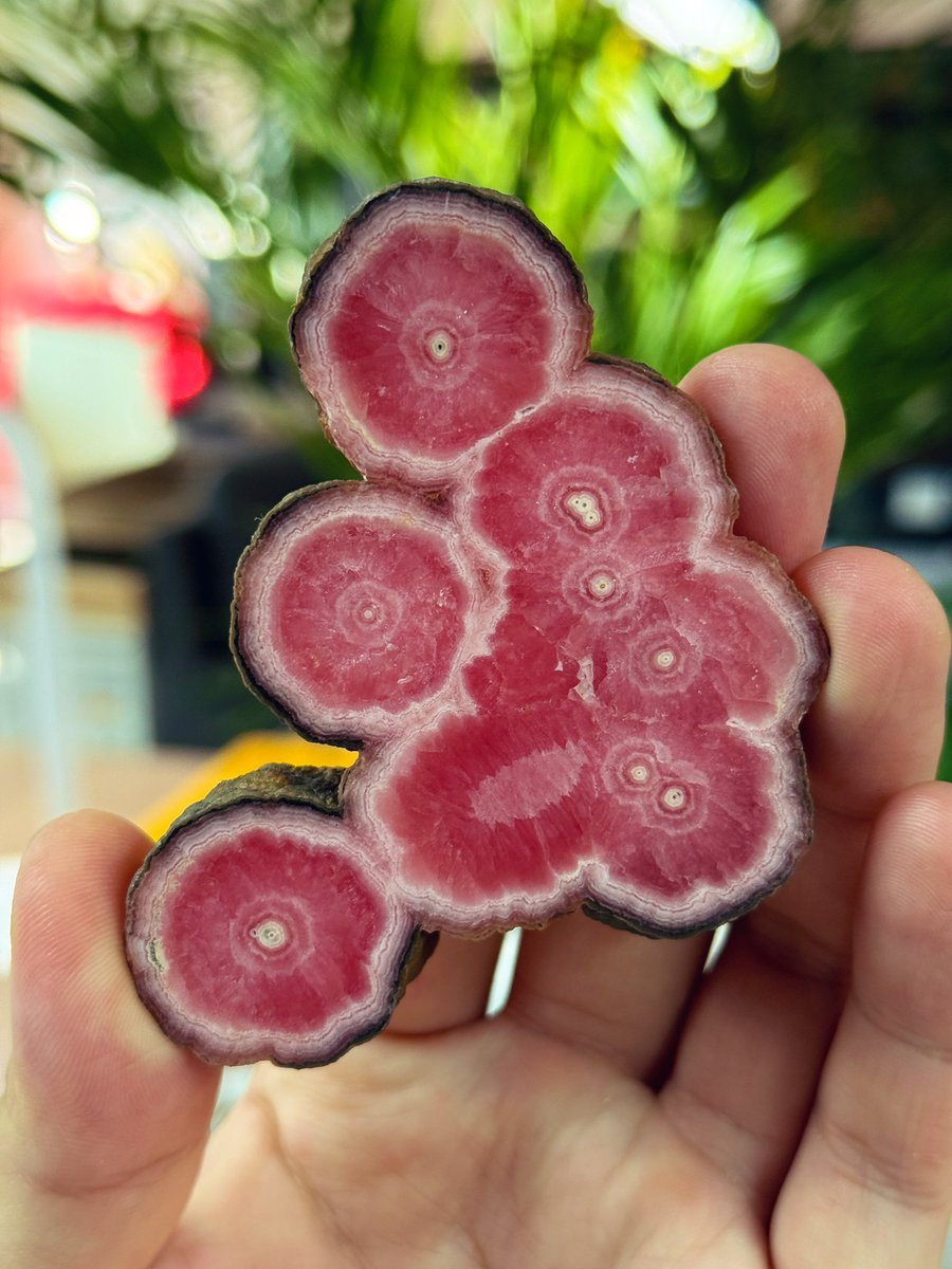 fossilmormotekr's tweet photo. 로도크로사이트 Rhodochrosite
Capillitas mine, Andalgalá Department, Catamarca Province, Argentina
#RUPEUS #루페우스 https://t.co/hHUwkgI0K2