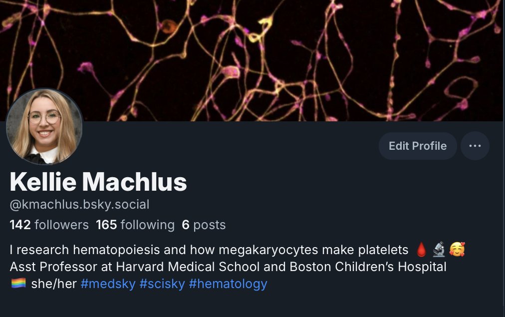 Hi Friends! I am not leaving yet, but have started experimenting over here and I have to say - it's kind of nice. 
Say HI if you are there too! 🦋