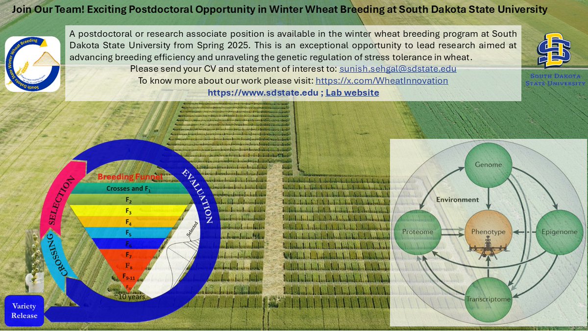SDSU Winter Wheat Breeding (@wheatinnovation) on Twitter photo 🌾 Postdoc Opportunity 🌾
Join the Winter Wheat Breeding Program at SDSU! Starting in Spring 2025, help drive innovations in breeding efficiency & stress tolerance genetics.
Send CV & interest to: sunish.sehgal@sdstate.edu
Please RT. <a href="/GrainGenes/">GrainGenes</a> 🌾 Postdoc Opportunity 🌾
Join the Winter Wheat Breeding Program at SDSU! Starting in Spring 2025, help drive innovations in breeding efficiency & stress tolerance genetics.
Send CV & interest to: sunish.sehgal@sdstate.edu
Please RT. <a href="/GrainGenes/">GrainGenes</a>