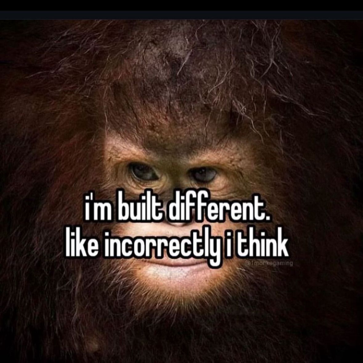 hourly_shitpost's tweet image. 