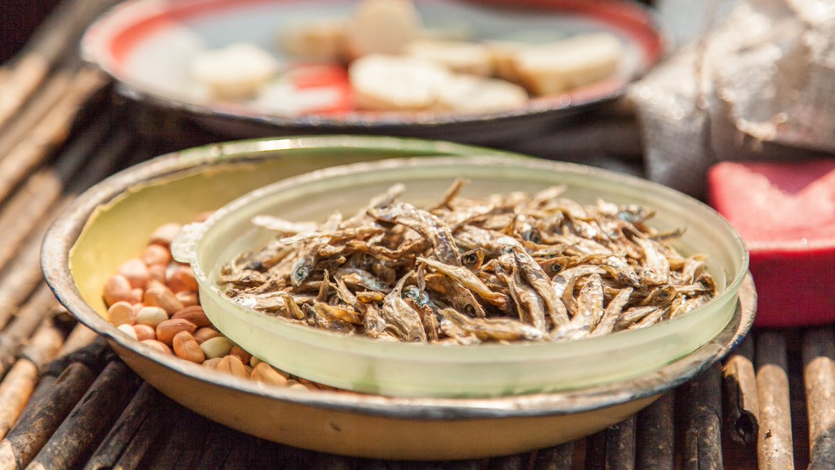 WorldFishCenter's tweet photo. 🤔While over 3,700 aquatic species offer a range of nutritional benefits, we currently only consume some #aquaticfoods.

This week at #COP29, read @CGIARNutrition's Shakuntala Thilsted &amp; @CGIARenviro @CargeleMasso's thoughts on how to transform our diets: https://t.co/l4jnUAaTvz https://t.co/bB7ghat3TD