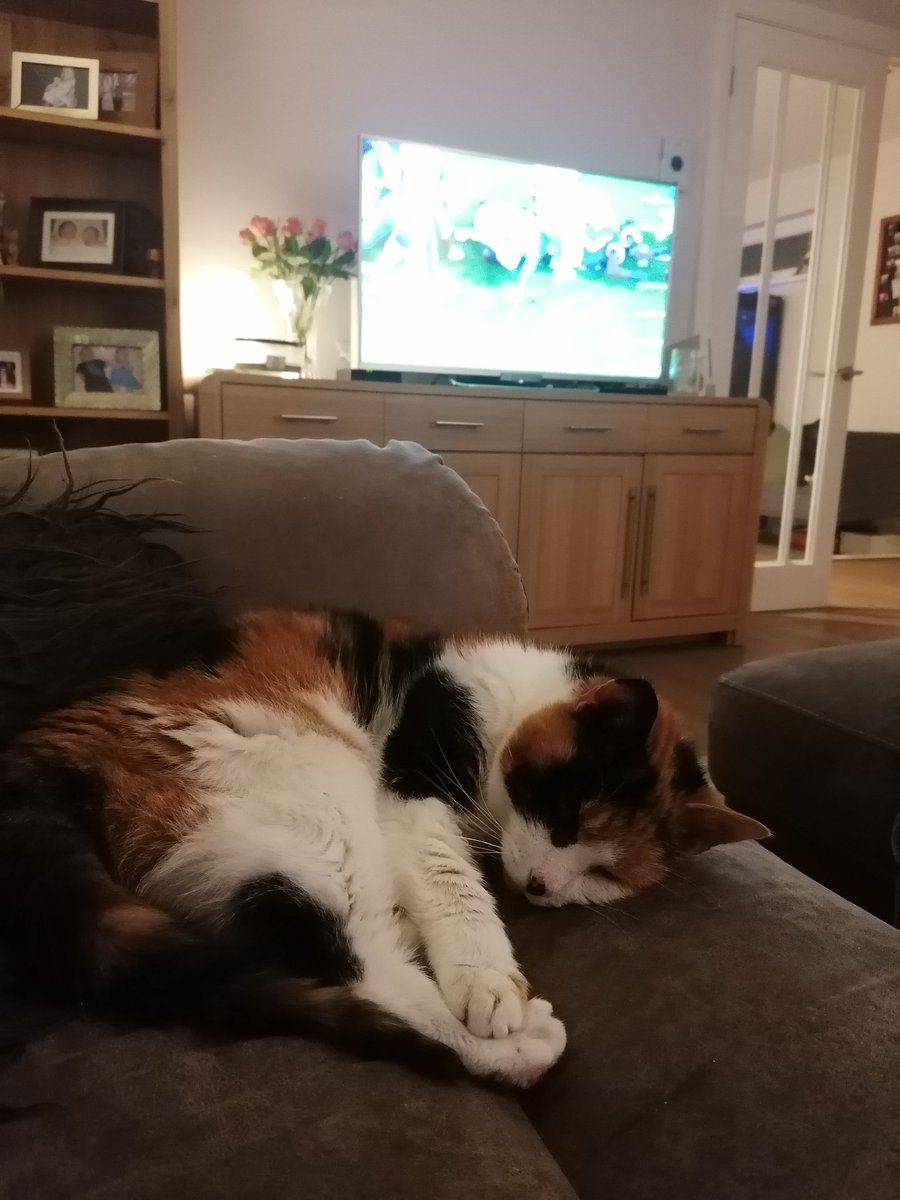 Ben Aviss tweet media