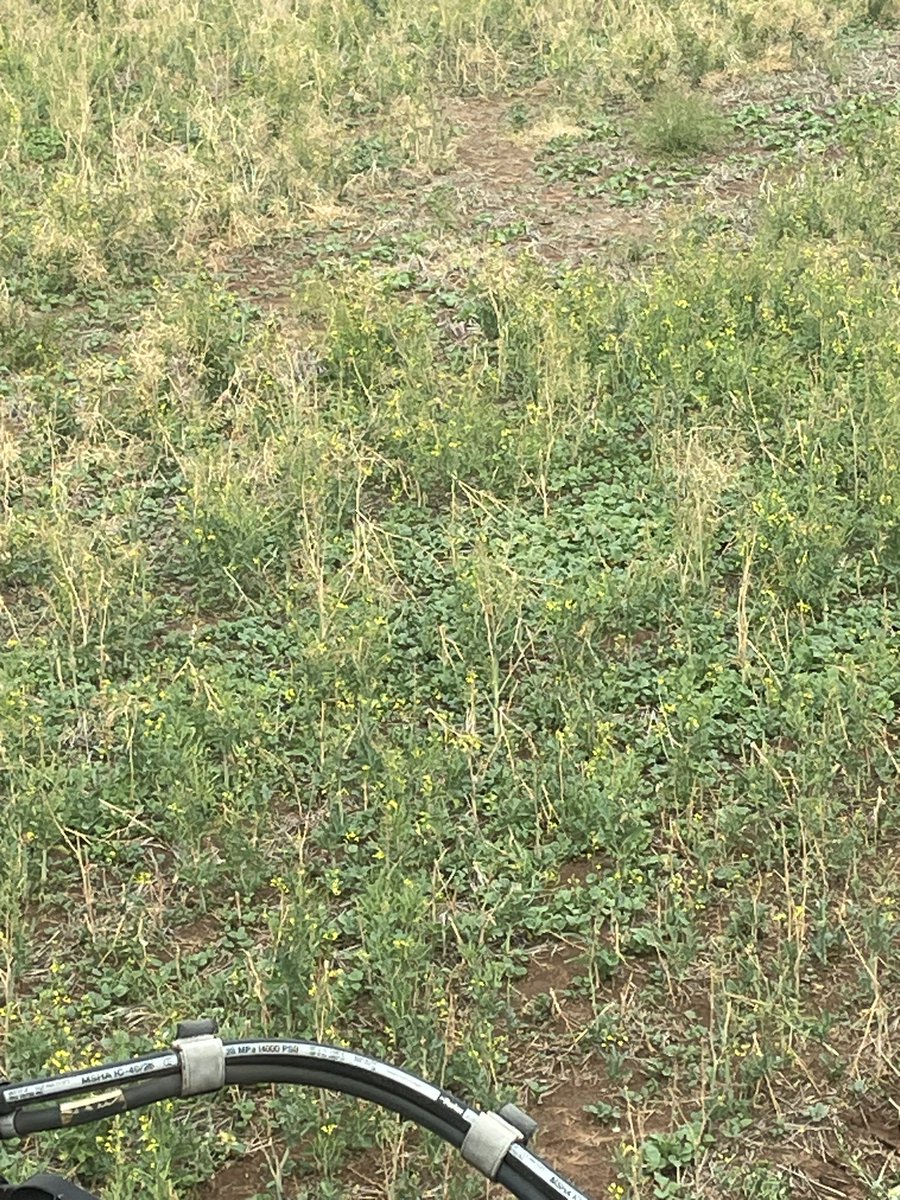 Tim Larwood 🇦🇺 tweet media