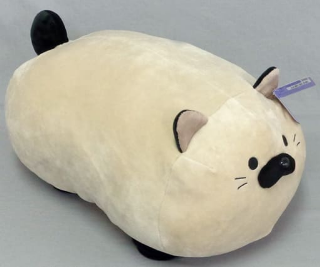 店頭商品のご案内です😊 ＃ごろねこサミット ＃第2回おうち代表ねこ