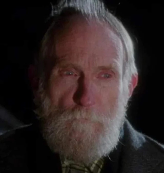 SiRGt's tweet image. Hya que hacer un spinoff de Mi pobre angelito en dónde el vecino trabaja para la misma organización que John Wick y todas las historias sobre el son ciertas #homealone #mipobreangelito