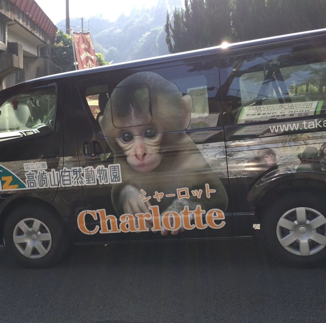 eat5G's tweet image. 