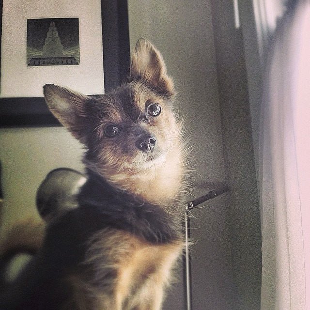 Greg Gerla 🇨🇦 tweet media