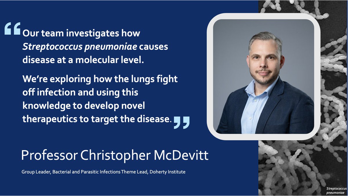 🫁 Pneumonia is the single biggest infectious killer of adults and children.

𝘚𝘵𝘳𝘦𝘱𝘵𝘰𝘤𝘰𝘤𝘤𝘶𝘴 𝘱𝘯𝘦𝘶𝘮𝘰𝘯𝘪𝘢𝘦 is the primary cause of bacterial pneumonia and is a major focus of our research in the McDevitt Lab.