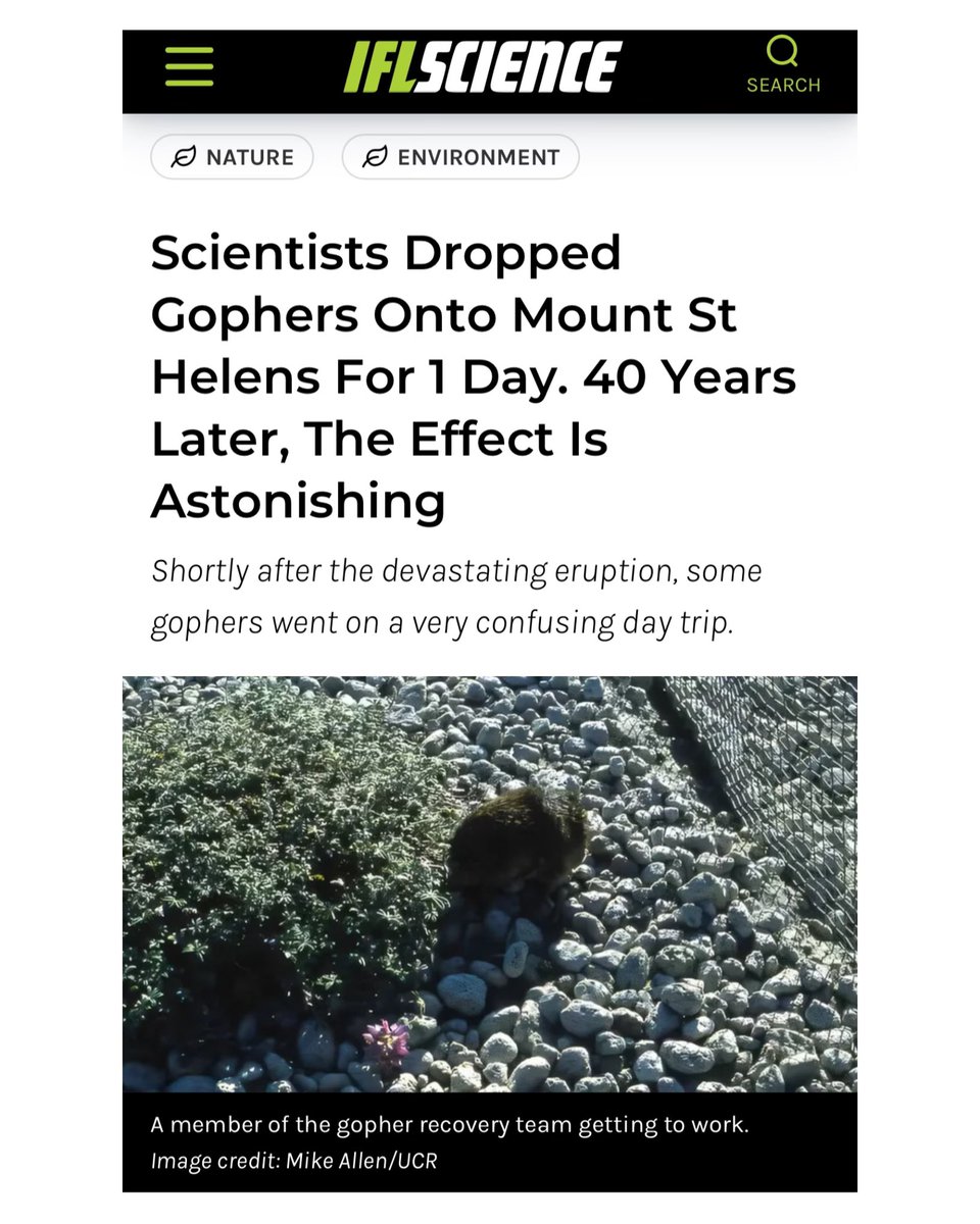 PaulStamets's tweet photo. Gophers spread fungi and lead to biodiversity in devastated habitats. How interesting!!! https://t.co/tDbIwZBiDq https://t.co/WZul1EpAGV