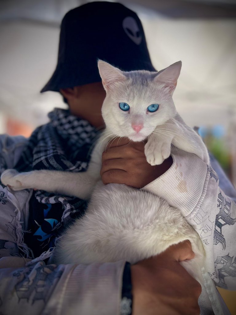 Desde <a href="/AgatanCdmx/">Agencia de Atención Animal</a> te ayudamos a fomentar el bienestar animal 🐾 regístralos aquí ruac.cdmx.gob.mx