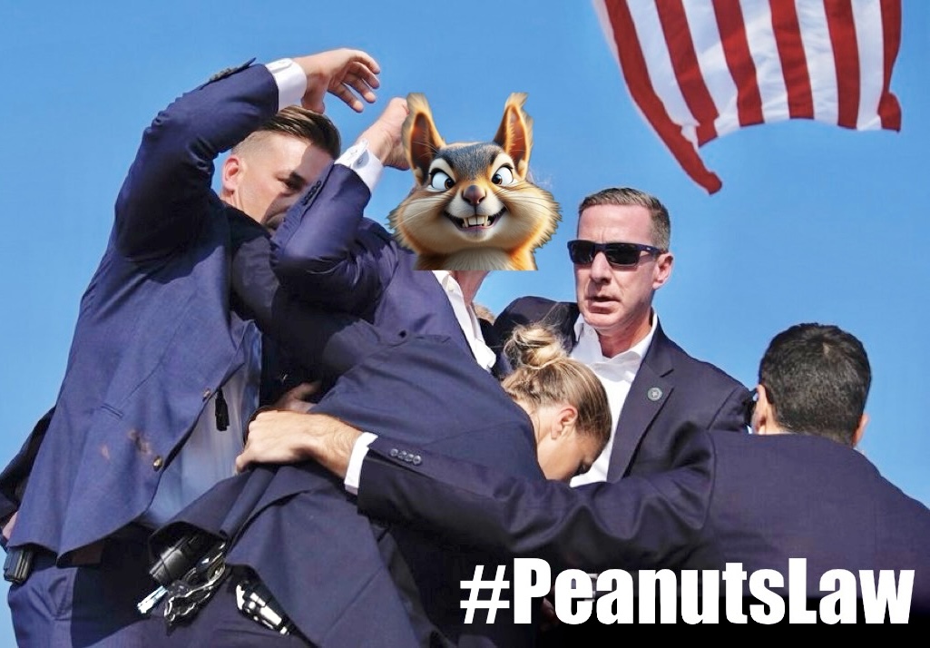 PeanutsLaw tweet media