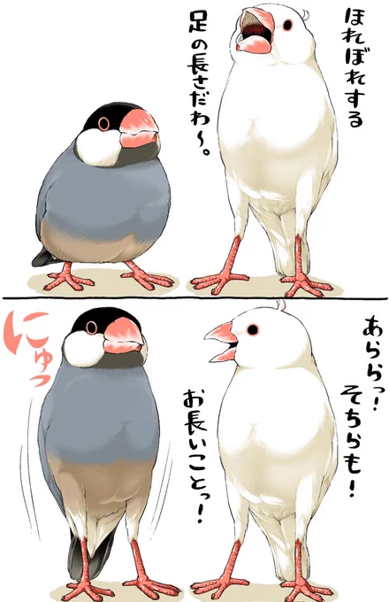 の〜び【1/2】 