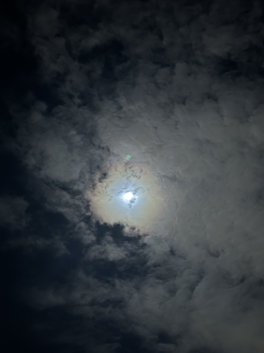 letmeseewhausmk's tweet photo. Moonlight Sonata - BK, NY

#MoonlightMagic
#NightSkyVibes
#UnderTheMoon
#LunarGlow
#MoonlitMoments
#CelestialVibes
#FullMoonFeels
#MoonLovers
#StarryNights
#MidnightMoon https://t.co/1B95XR2fmF