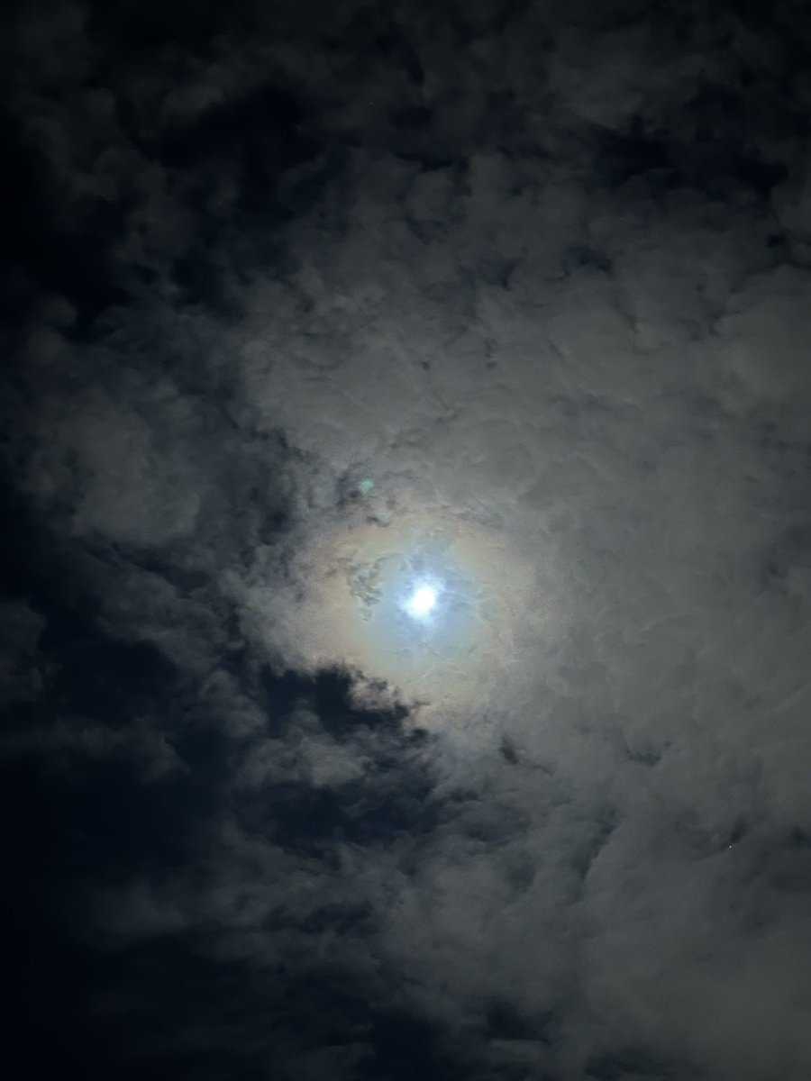 letmeseewhausmk's tweet photo. Moonlight Sonata - BK, NY

#MoonlightMagic
#NightSkyVibes
#UnderTheMoon
#LunarGlow
#MoonlitMoments
#CelestialVibes
#FullMoonFeels
#MoonLovers
#StarryNights
#MidnightMoon https://t.co/1B95XR2fmF