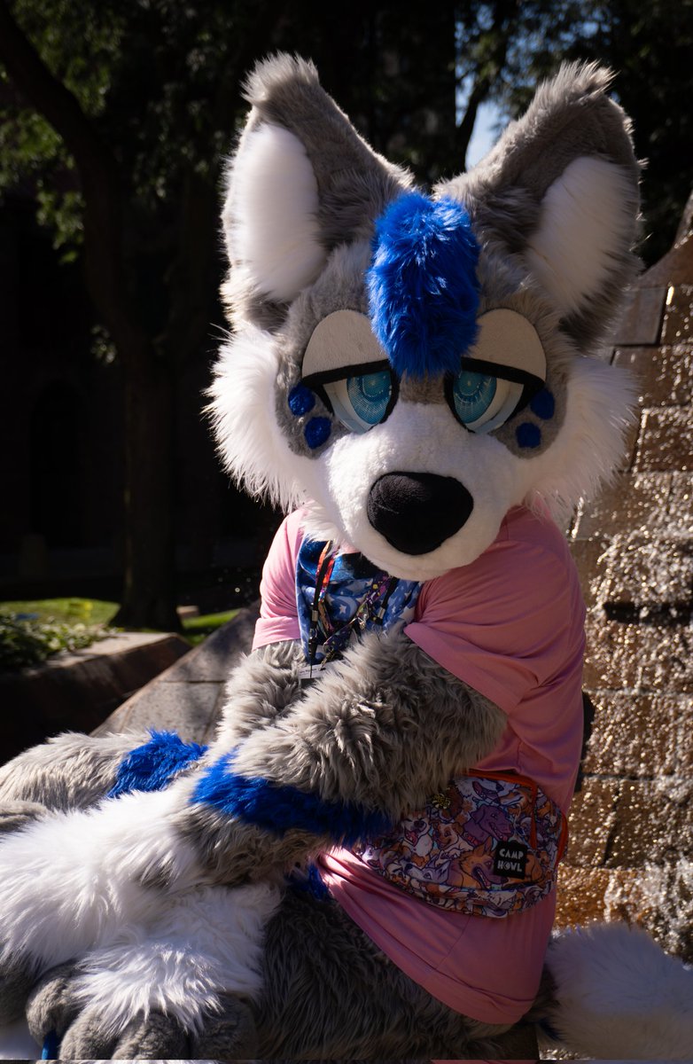FlowTheWolf_'s tweet photo. After months of work and practice... And getting comfortable with my own work, I feel it's FINALLY time to open my photoshoot commissions! 

MFF will be the first con I end up doing these at! 

Price will be $75 for a shoot of 25, $100 if gotten less than a week before MFF. https://t.co/W5uP0ErrU9