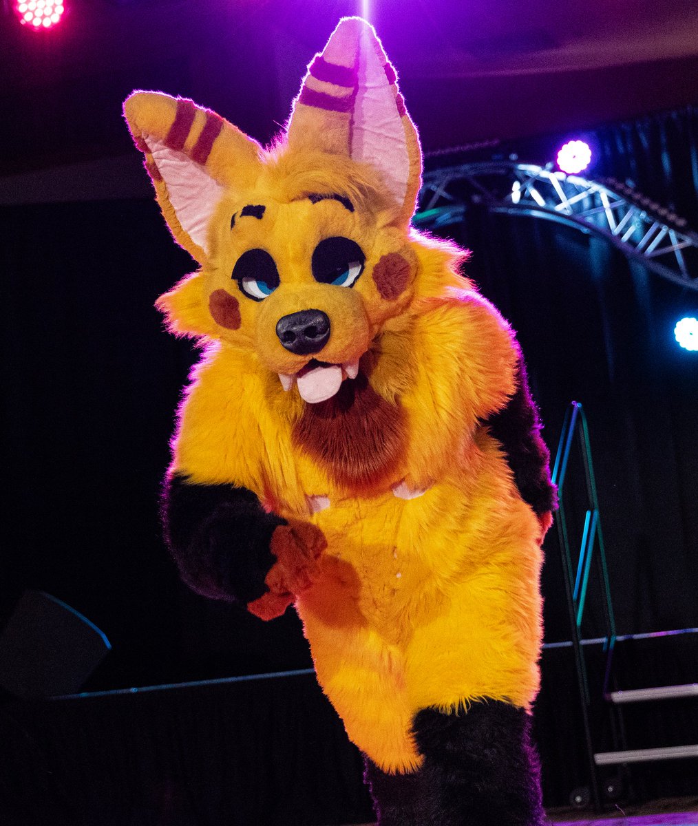 FlowTheWolf_'s tweet photo. After months of work and practice... And getting comfortable with my own work, I feel it's FINALLY time to open my photoshoot commissions! 

MFF will be the first con I end up doing these at! 

Price will be $75 for a shoot of 25, $100 if gotten less than a week before MFF. https://t.co/W5uP0ErrU9