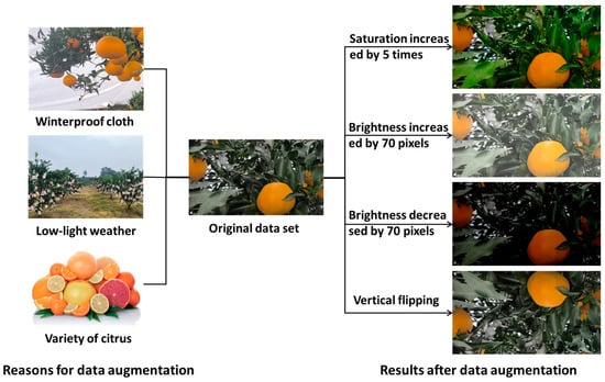 Applsci's tweet image. 🔥 Read our Highly Cited Paper
📚 Approach of Dynamic Tracking and Counting for Obscured Citrus in Smart Orchard Based on Machine Vision
🔗 mdpi.com/2076-3417/14/3…
👨🔬 by Yuliang Feng et al.
🏫 China Agricultural University
#orchard #automaticdetection #machinevision