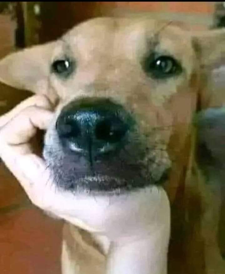 DocGaaarwood (@gaaarwood) on Twitter photo 