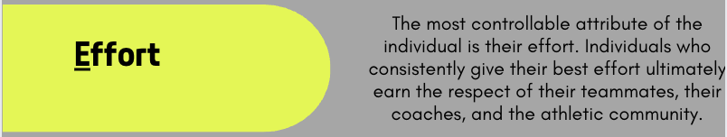 Elk Grove Boys Basketball tweet media