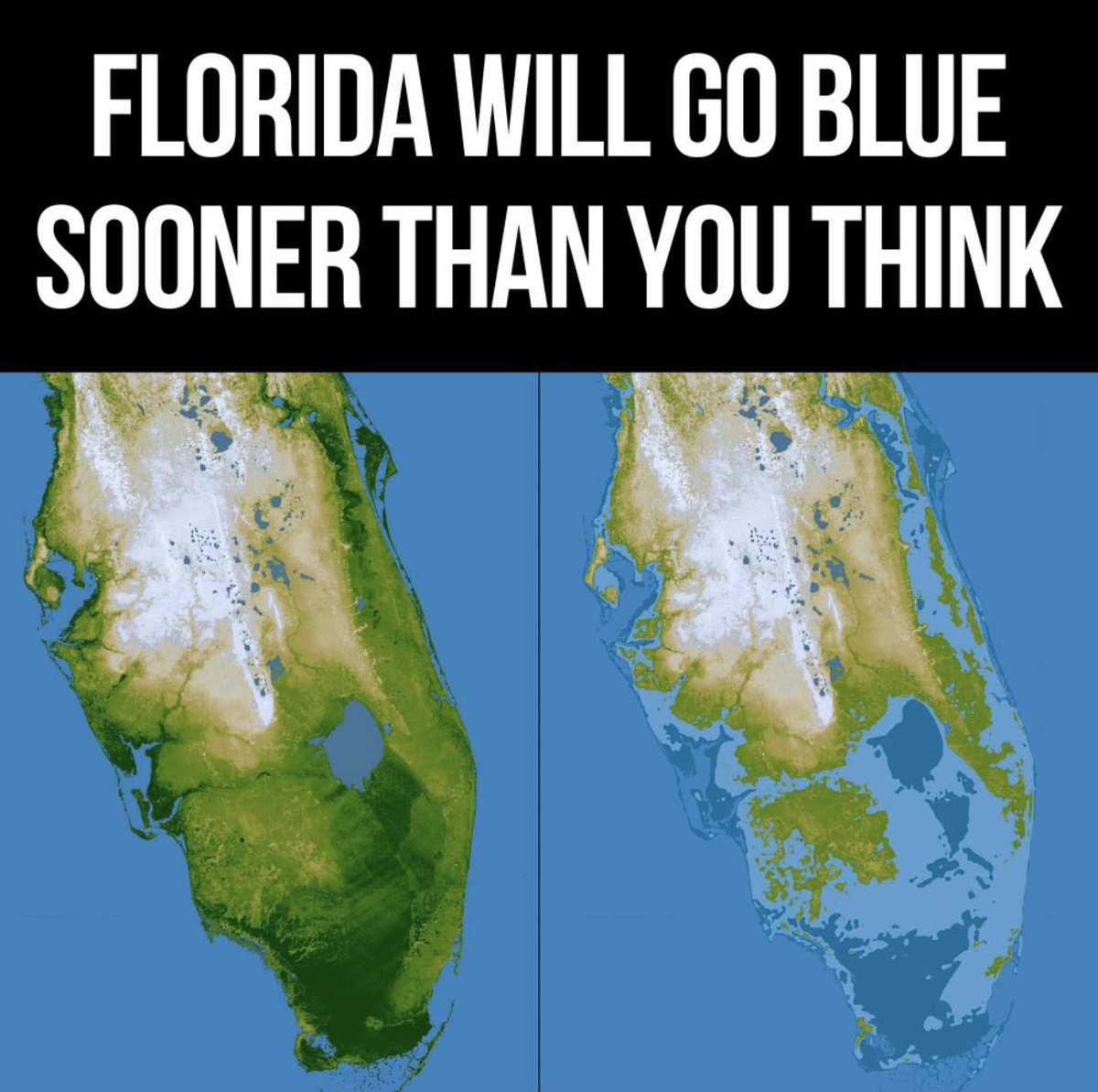 Tony Lomas tweet media