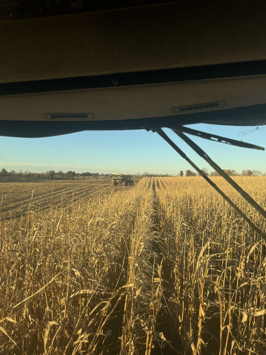 Gavin Spoor tweet media