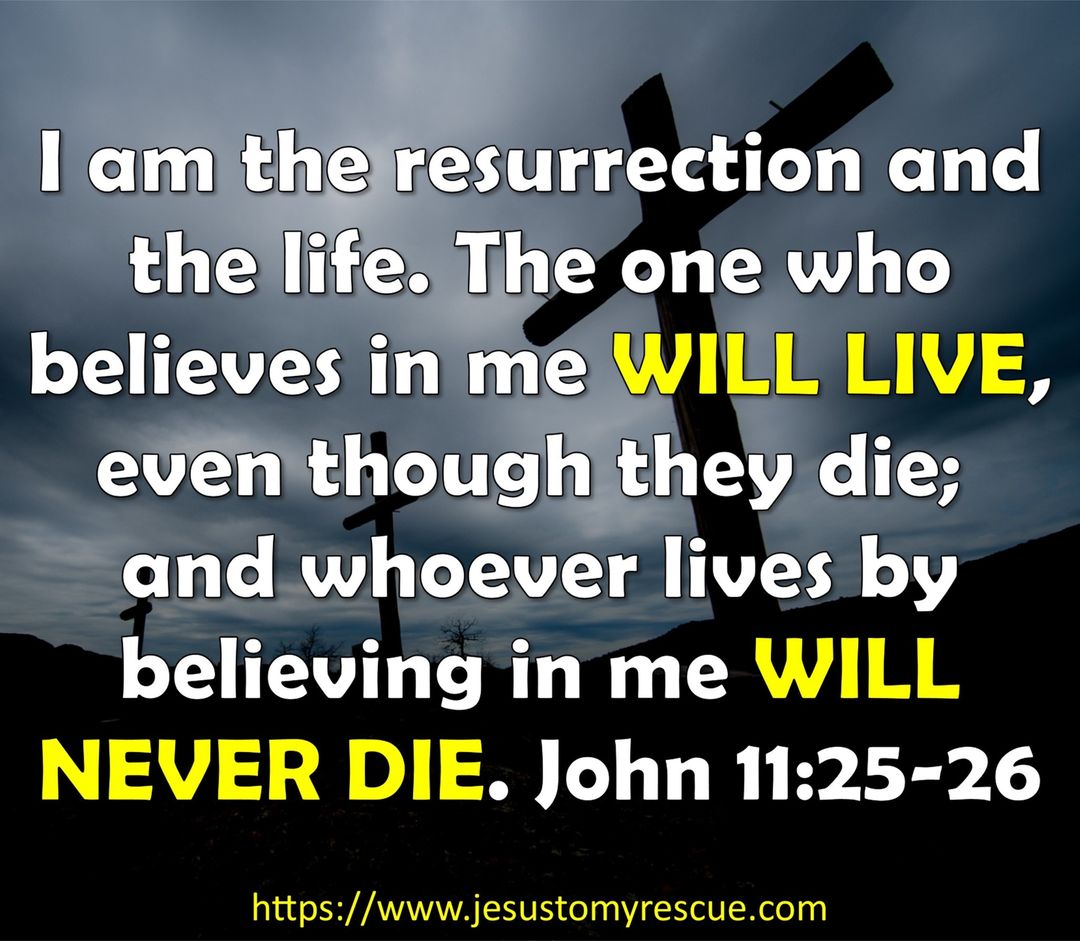 One day, we who are in Christ, will be resurrected to enjoy life with Him forever. As Christians, we never die, we simply move on to the His Kingdom. Hallelujah!

#death #die #christian #jesus #believe #bible #thebible #jtmr #jtmrministries #jesustomyrescue