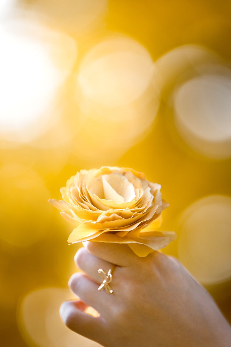 イチョウの花をプレゼント