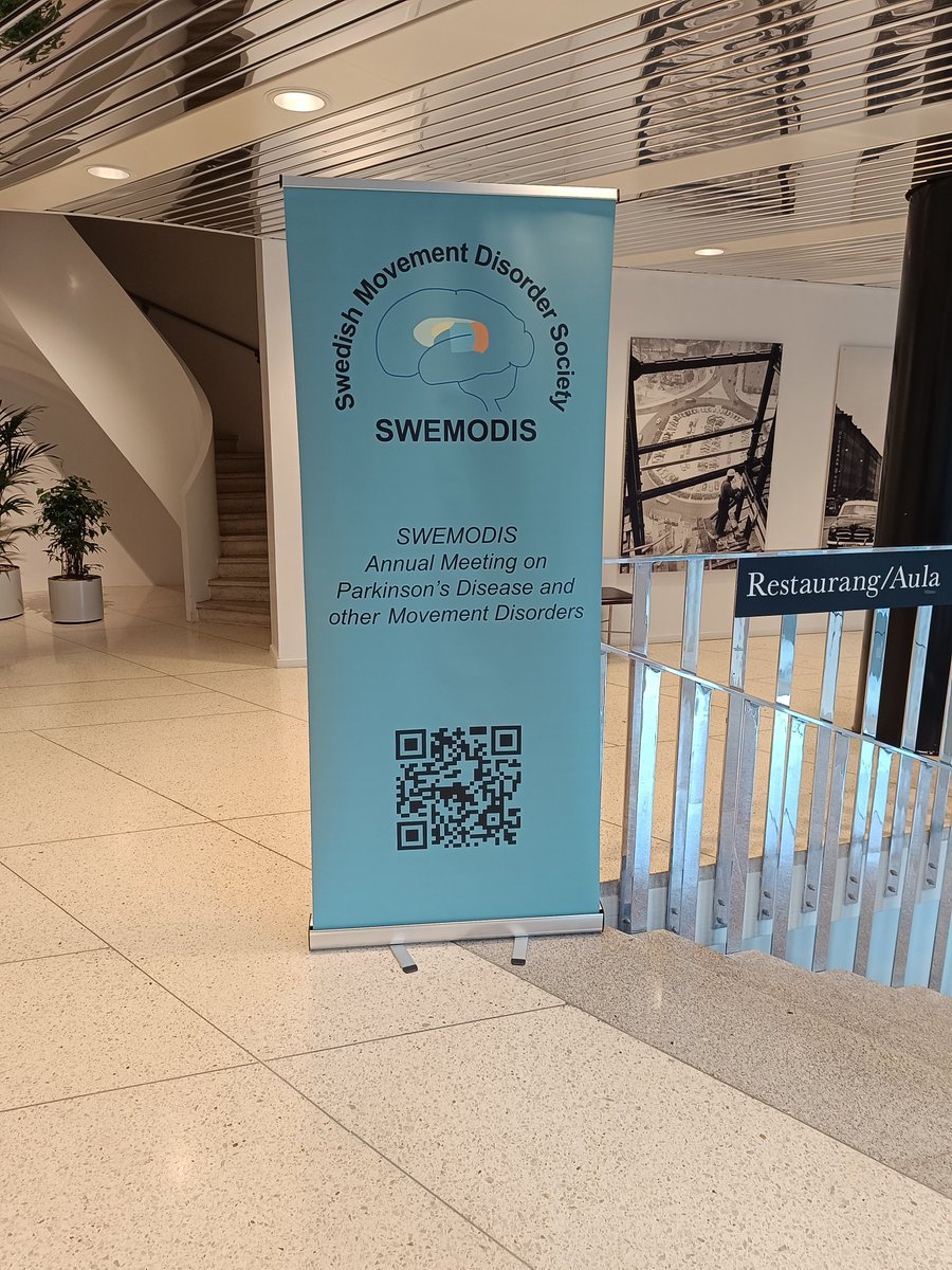 It was a great pleasure to give a talk on RLS at the SWEMODIS. Many thanks to <a href="/per_odin/">Per Odin</a> and the Organising Committee for inviting me to such a good meeting with excellent national and international speakers.