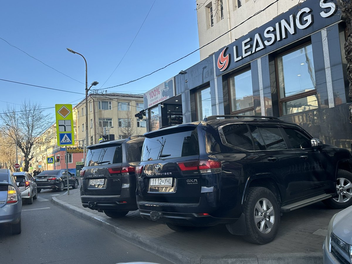 Тансаг зэрэглэлийн гахайнууд.