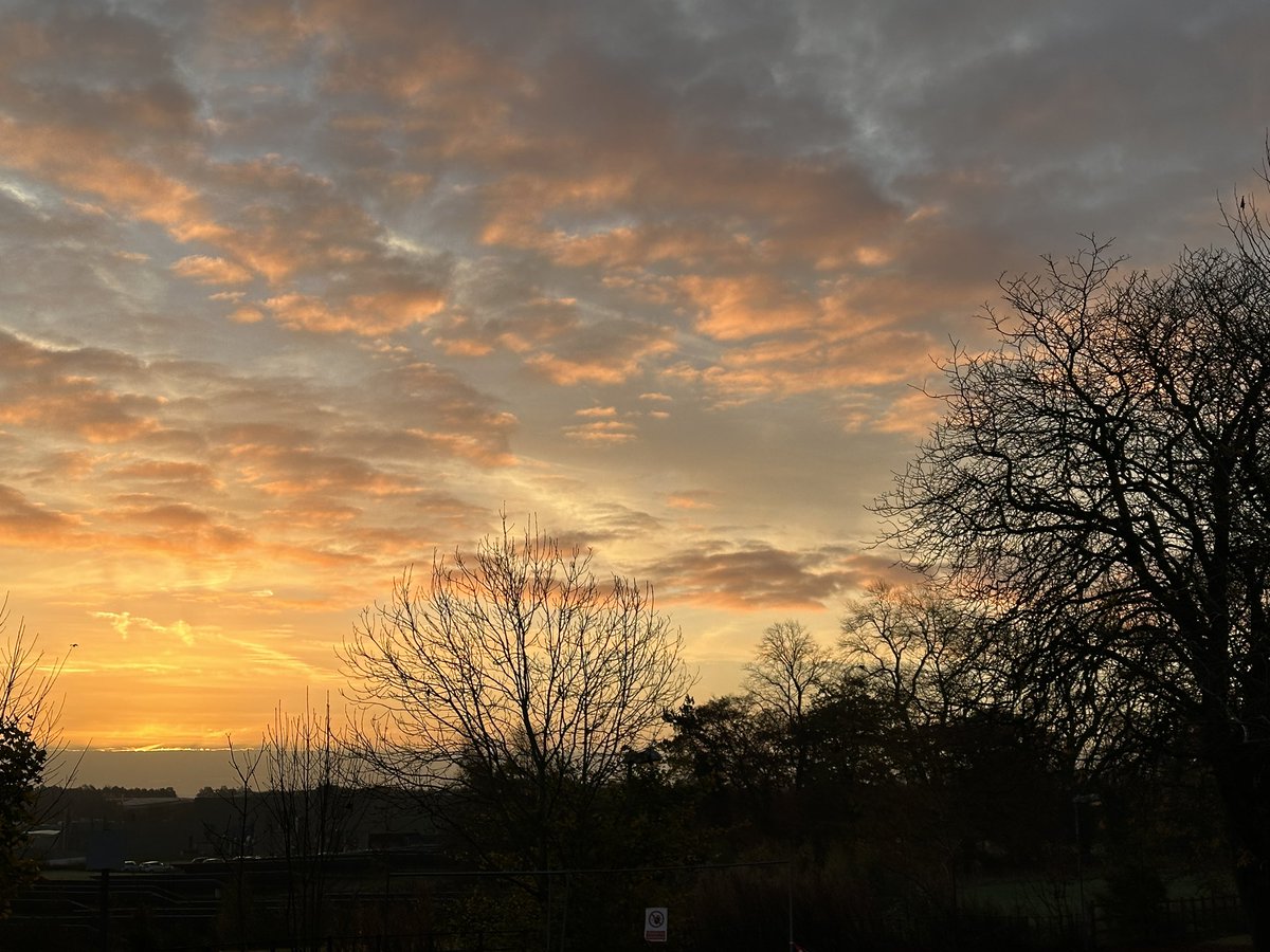 Manel Roura 🎗 tweet media