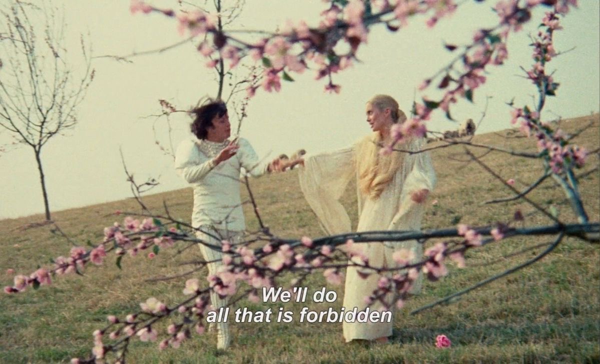 jacques demy archive tweet media