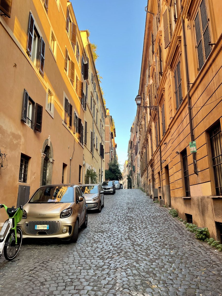 Jane Williamson tweet media