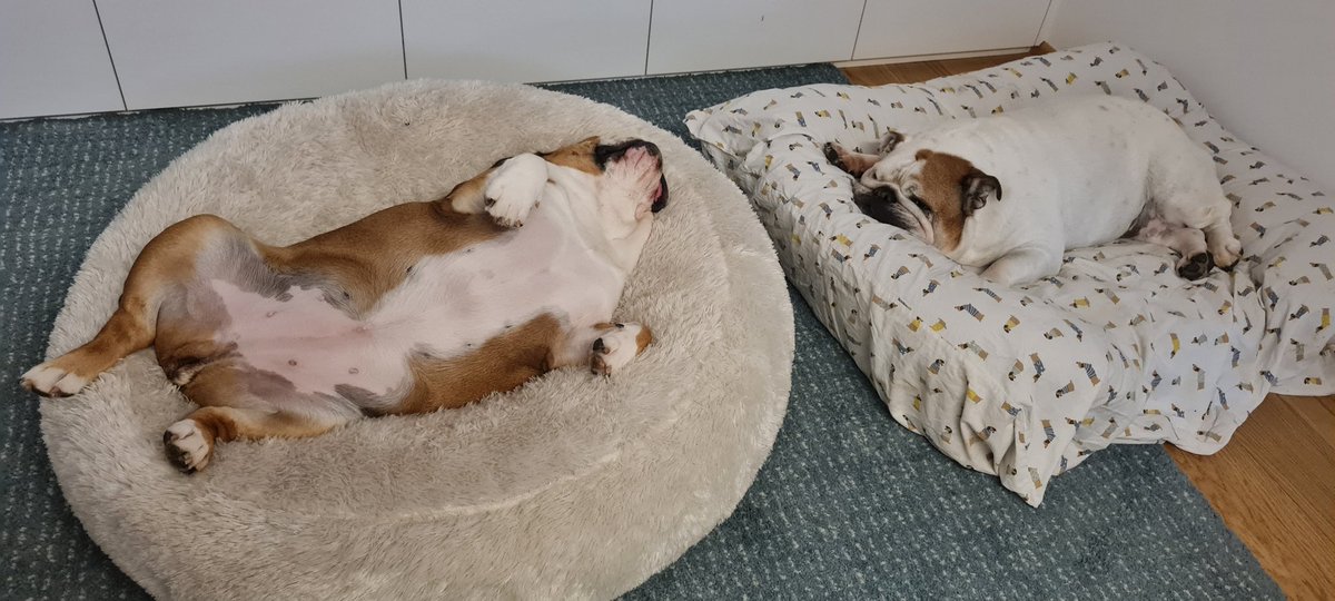 David Kovič tweet media