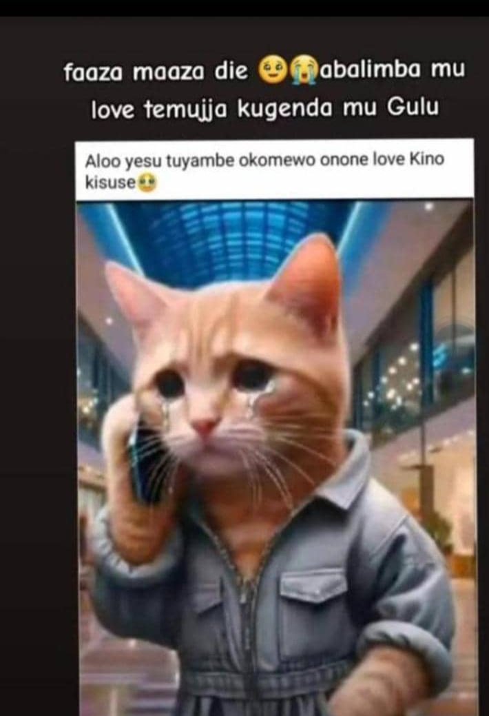 Comment as a cheater