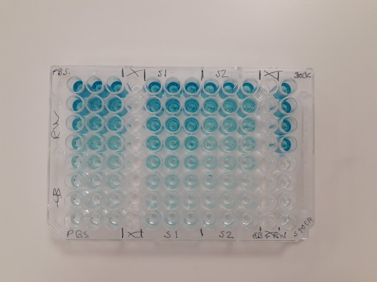 Nicola Beesley tweet media