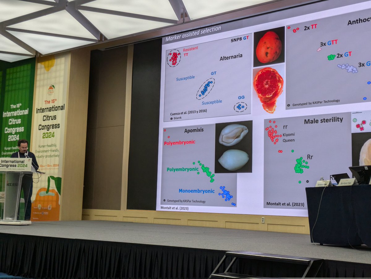 AndrewerFTK tweet media