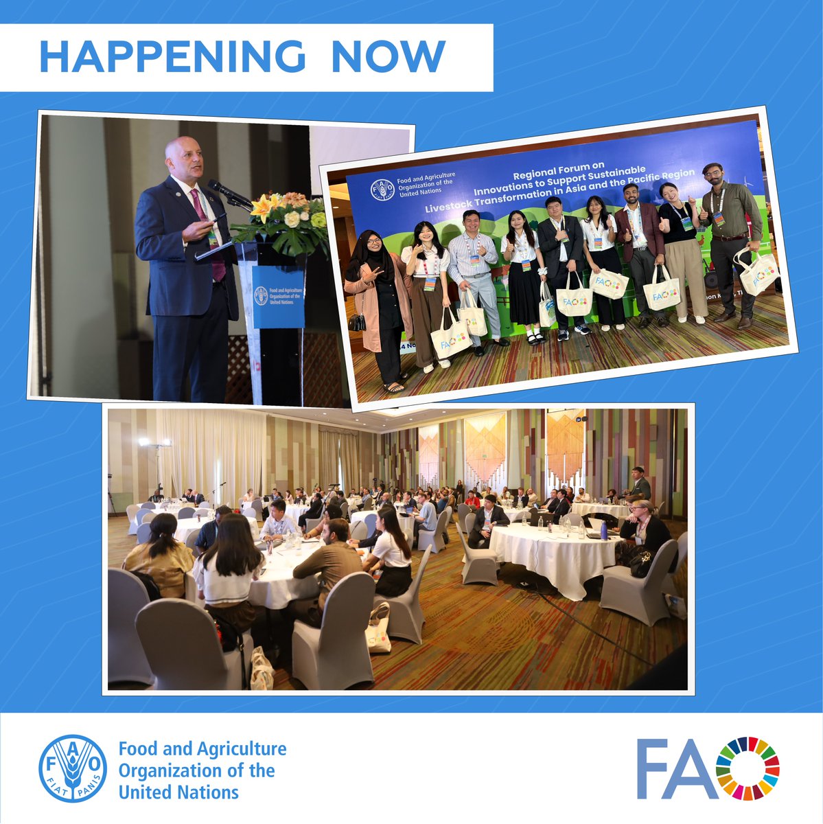 FAO Asia Pacific tweet media