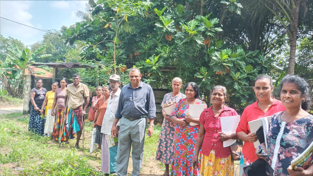 A Farmer Field School has been established in Miyellewa GN Division focusing on chili cultivation! 🌶️ Farmers are eager to learn under the guidance of Agriculture Instructor Mr. Chinthaka Mahamithawa. Let's grow together! 💪 #SARP #IFAD #IFADASIA <a href="/SherinaTabassum/">Sherina Tabassum</a>