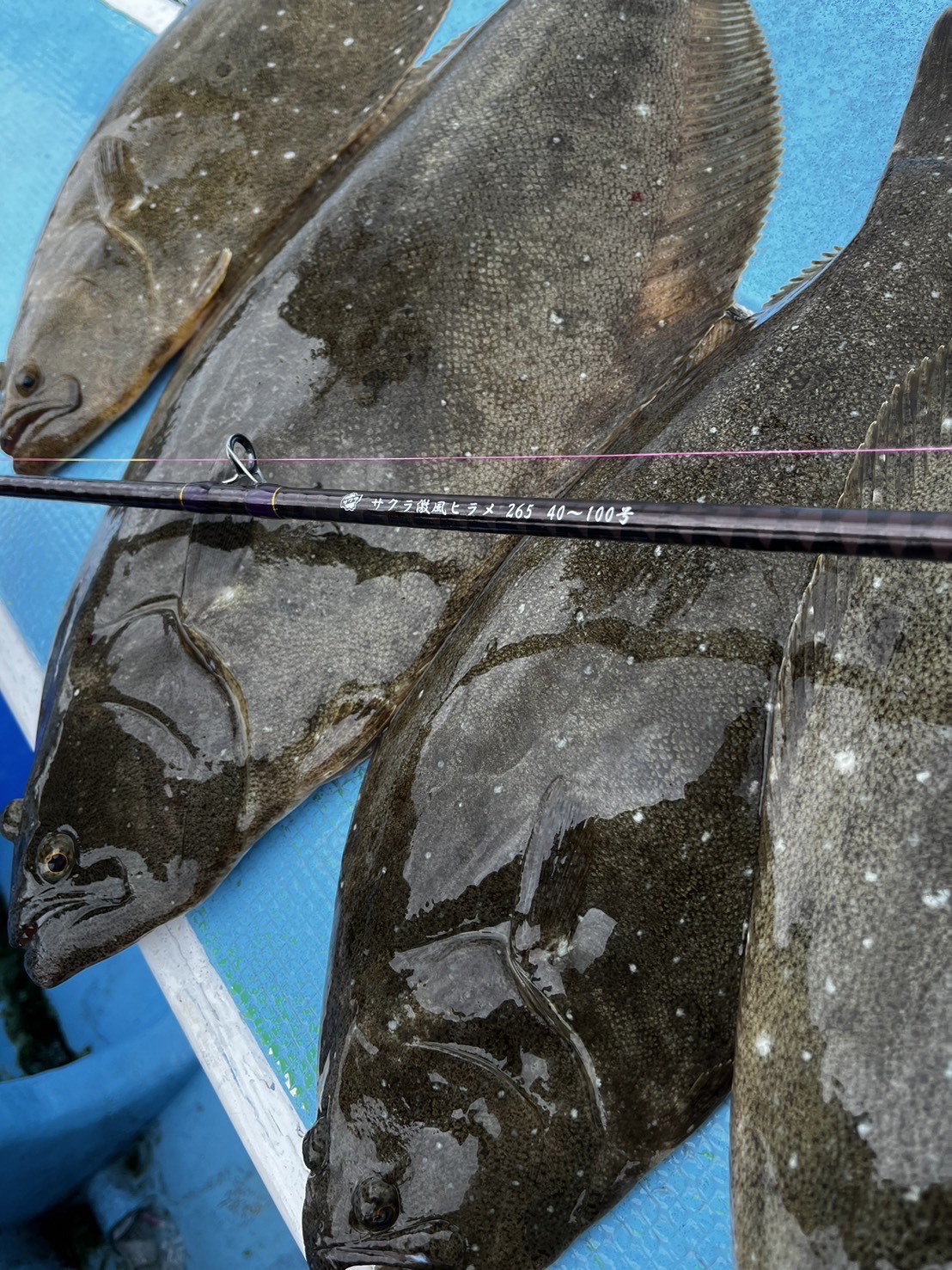 沖釣工房　日本海ヒラメ265 極鋭ヒラメAGS M-265 - 68,600円 : 海釣り、船釣り専門店の沖